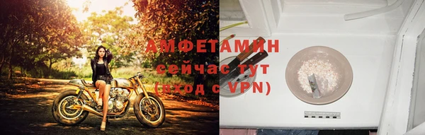 прущая мука Инта