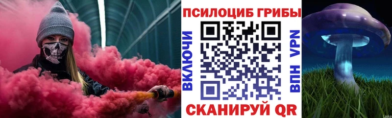 Псилоцибиновые грибы Psilocybe  гидра как зайти  Мещовск 